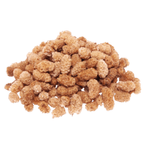 Dried Mulberries