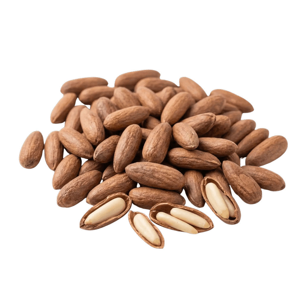 PINE NUTS